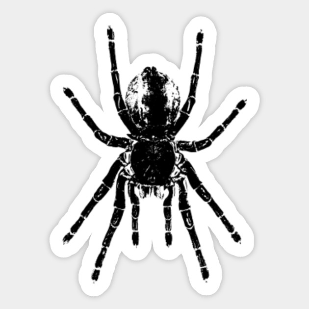Scary Tarantula Spider Halloween Black Arachnid